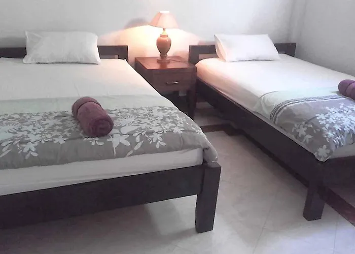 ベッド・アンド・ブレックファスト Reinoldus Di Bali *